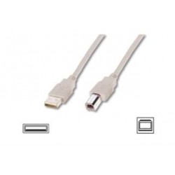 Kabel drukarkowy USB Assmann 2.0 A/M - USB B /M 5m beżowy